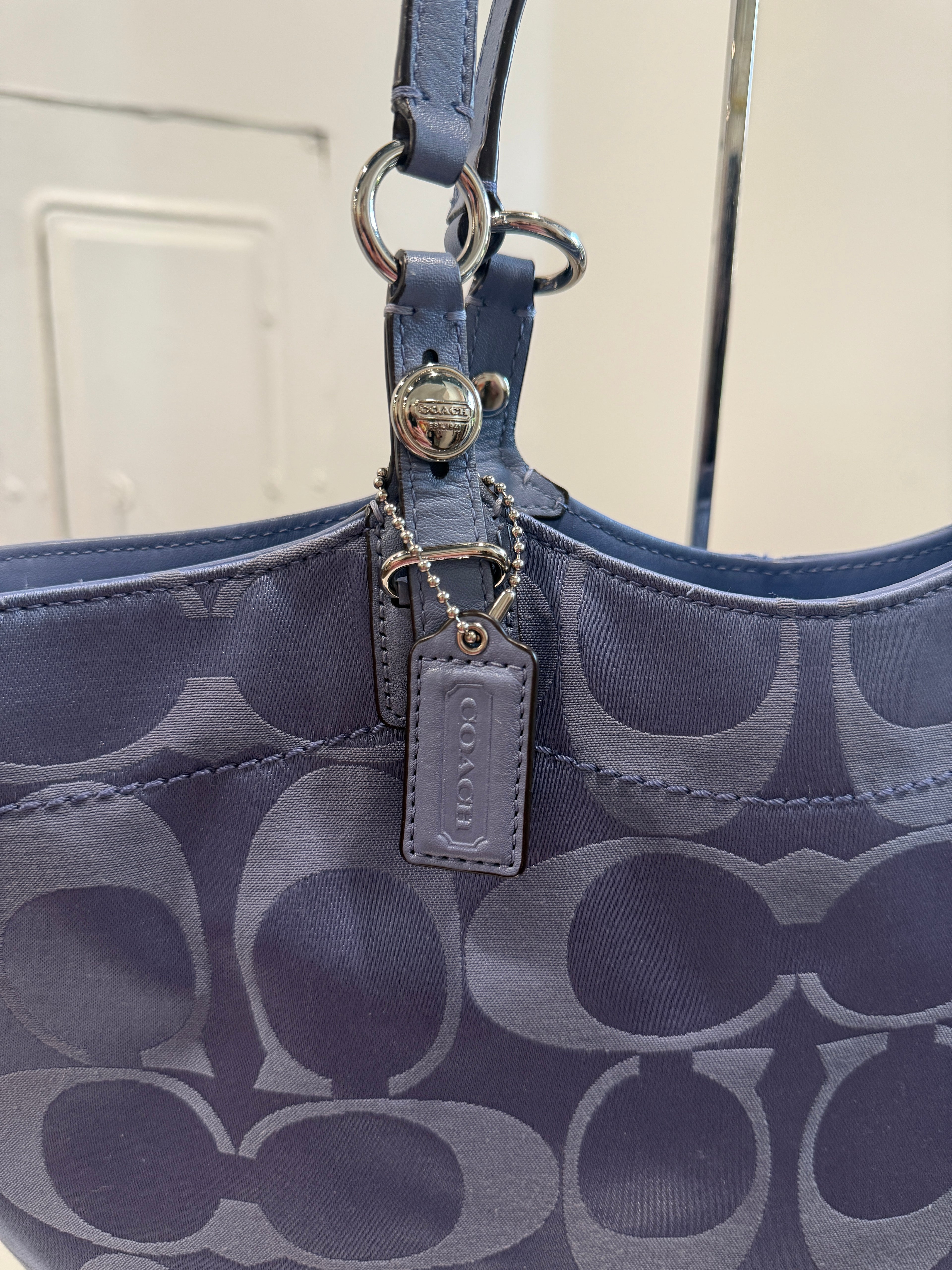 Coach Blue Signature Bag F16175